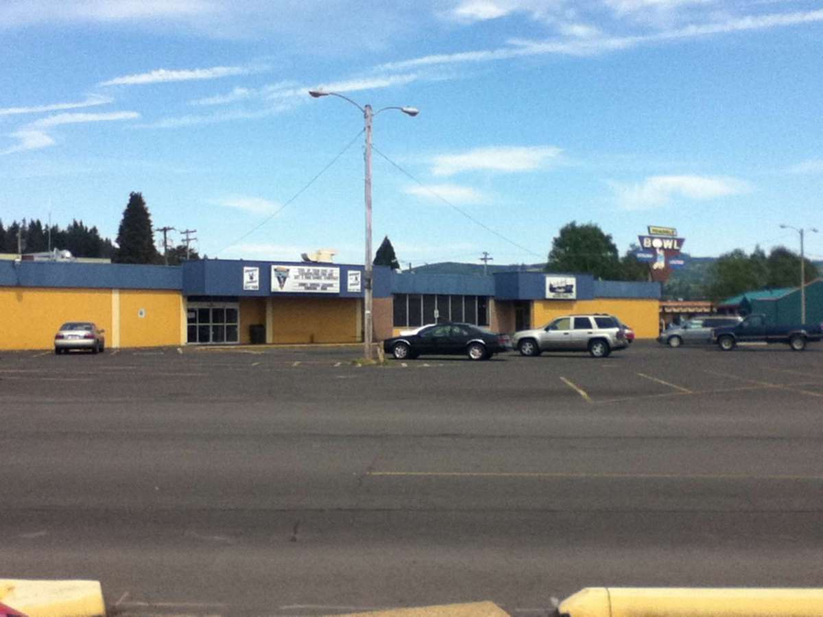 triangle motors longview wa