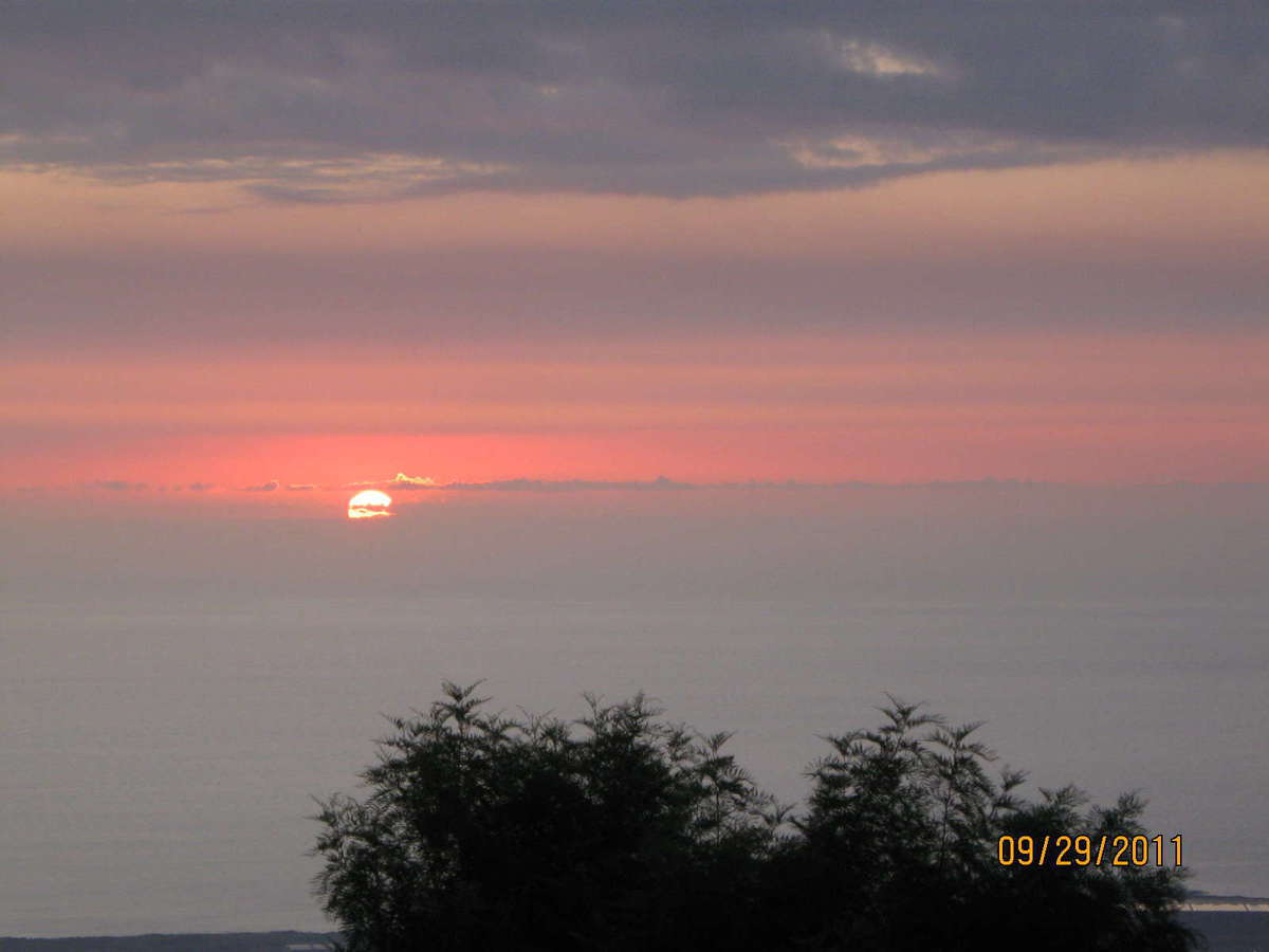 Bianelli's Gourmet Pizza & Pasta, Kailua Kona, Rest of Hawaii Zomato