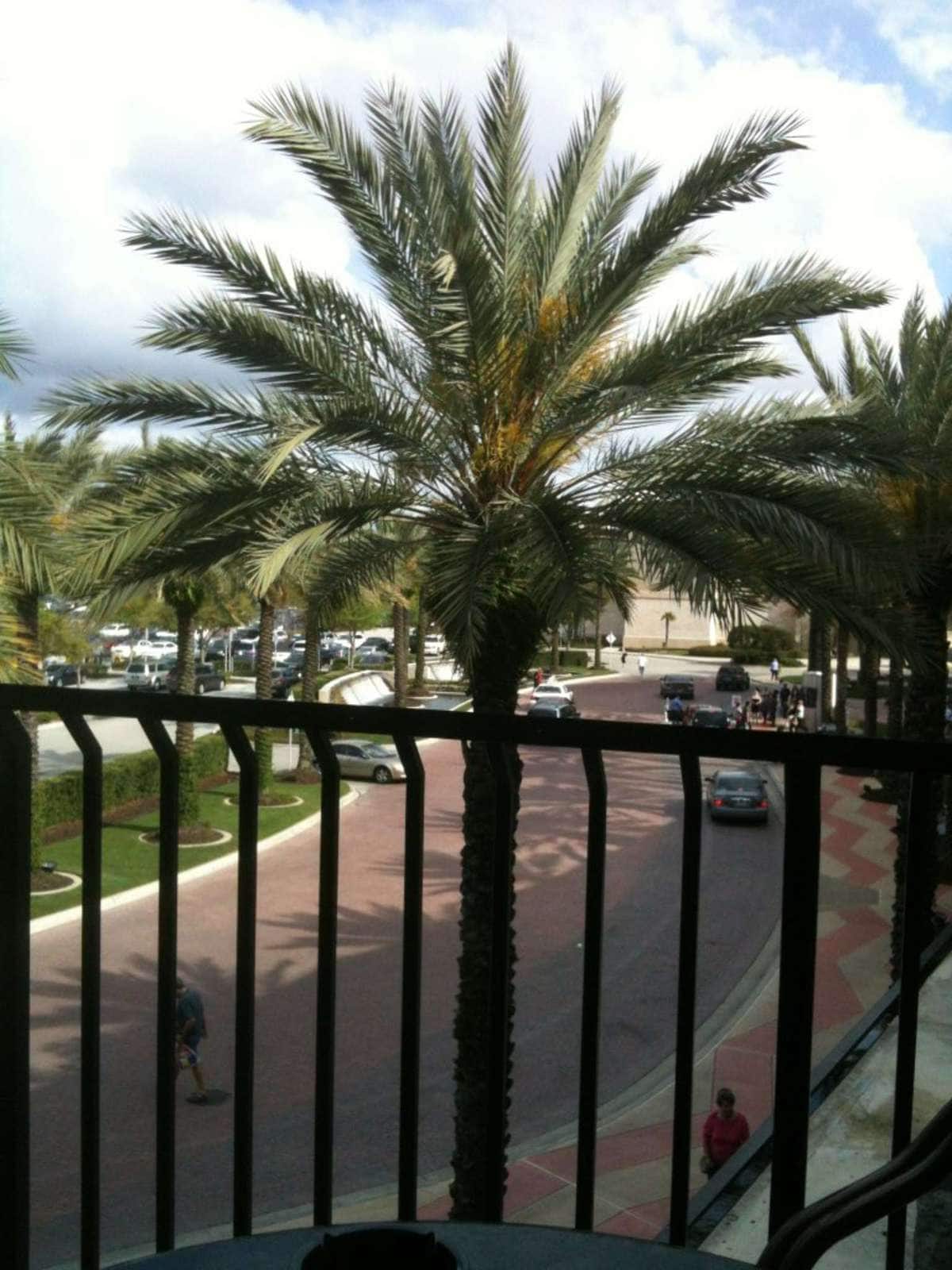 Menu of Blue Martini Lounge, Millenia, Orlando