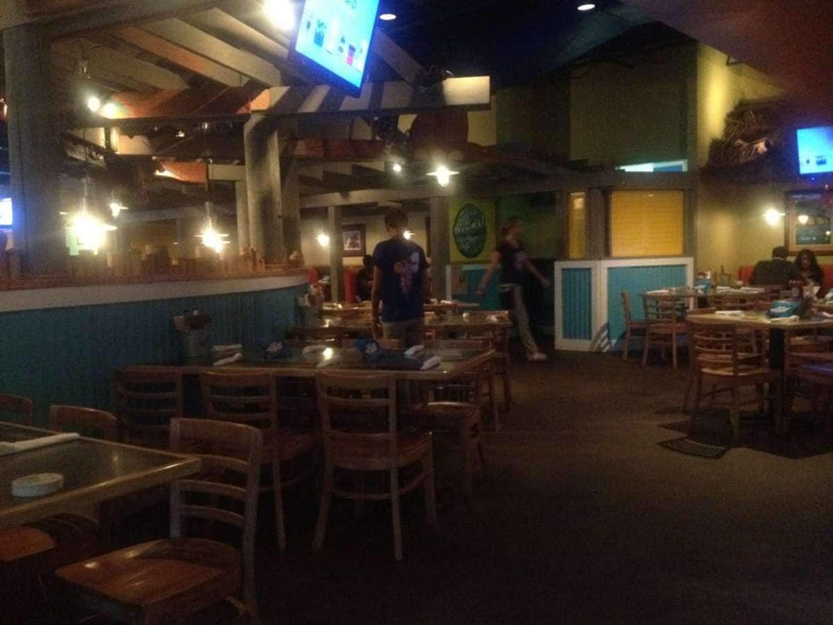 Cheeseburger in Paradise, Virginia Beach, Hampton Roads Zomato