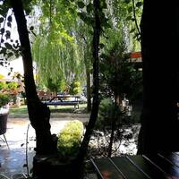 Terri Dean Adli Kullanicinin How Does Your Garden Grow Panosundaki Pin Bahce Yollari Arka Bahce Peyzaj Duzenlemesi Bitki