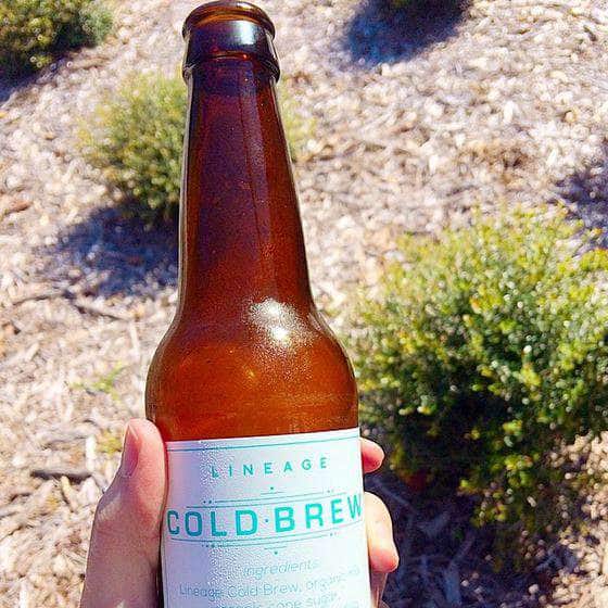 Lineage Coffee Roasting, Audubon Park Garden District, Orlando