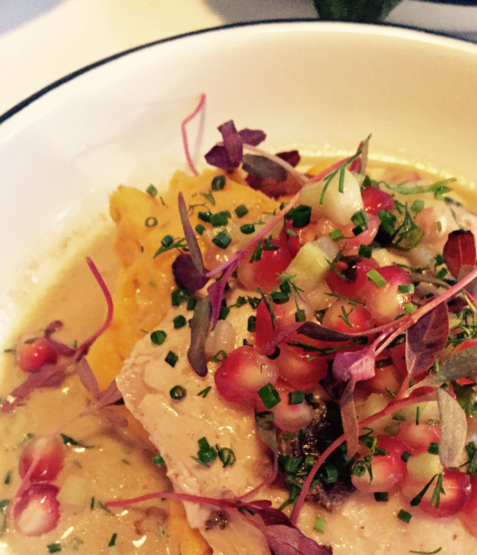 hamachi za darmo hamachi za darmo