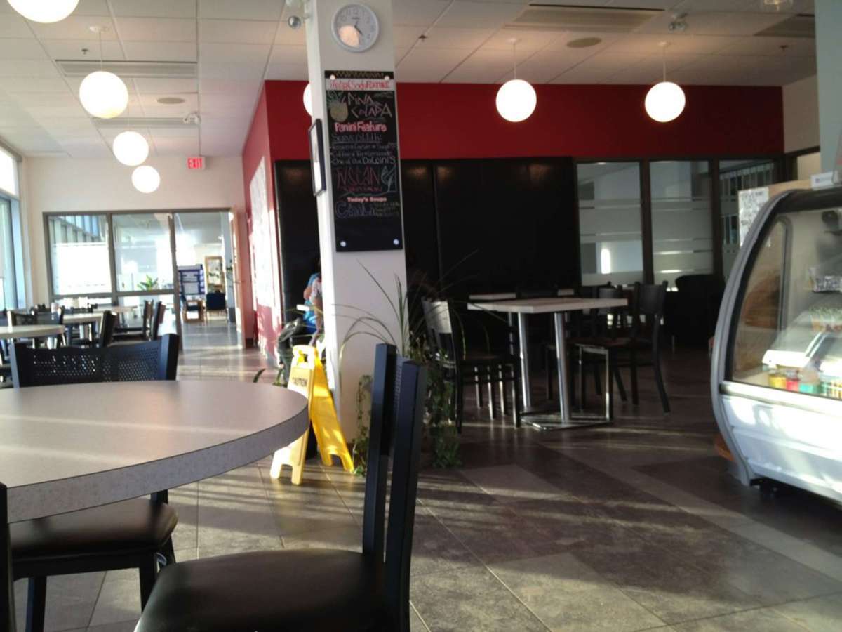 Dr. Java's Coffee House, Prince Albert, Prince Albert Zomato