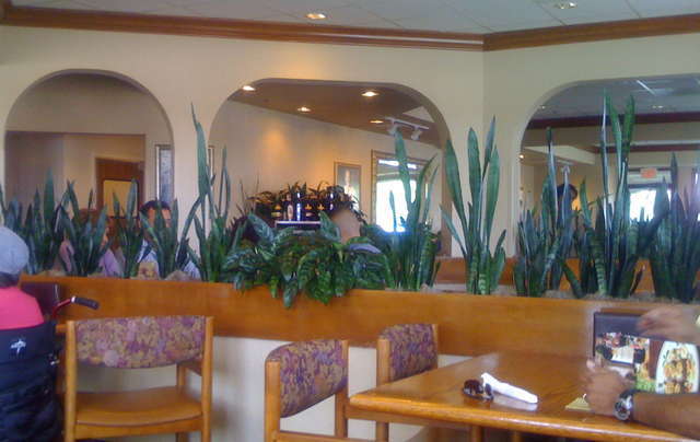 Olive Garden Italian Restaurant क फ ट एव च त र