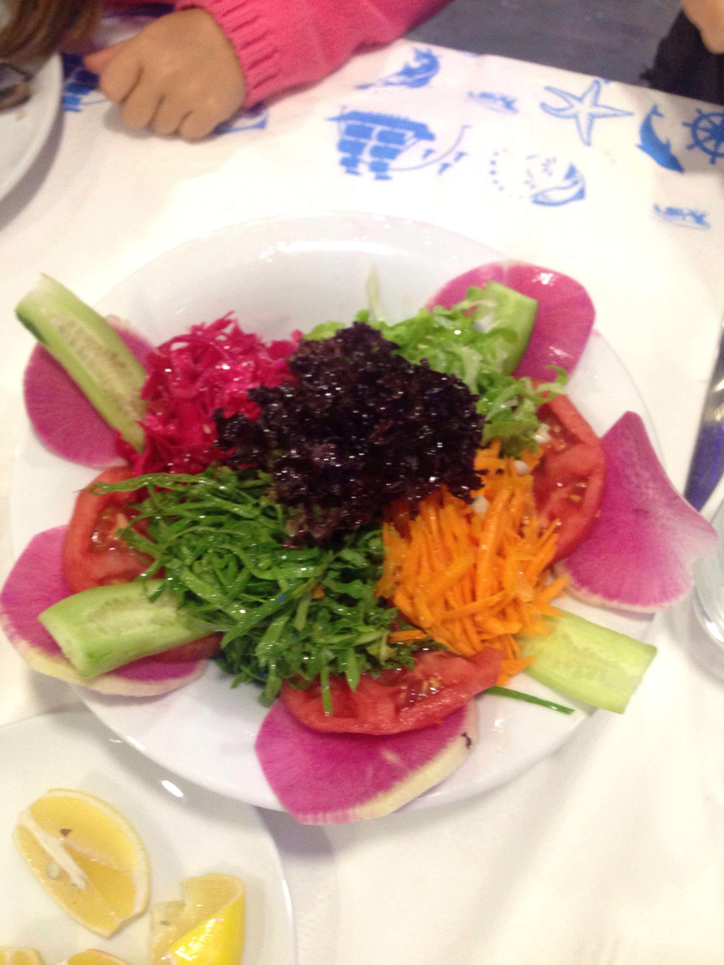 okan balik evi sarigazi istanbul