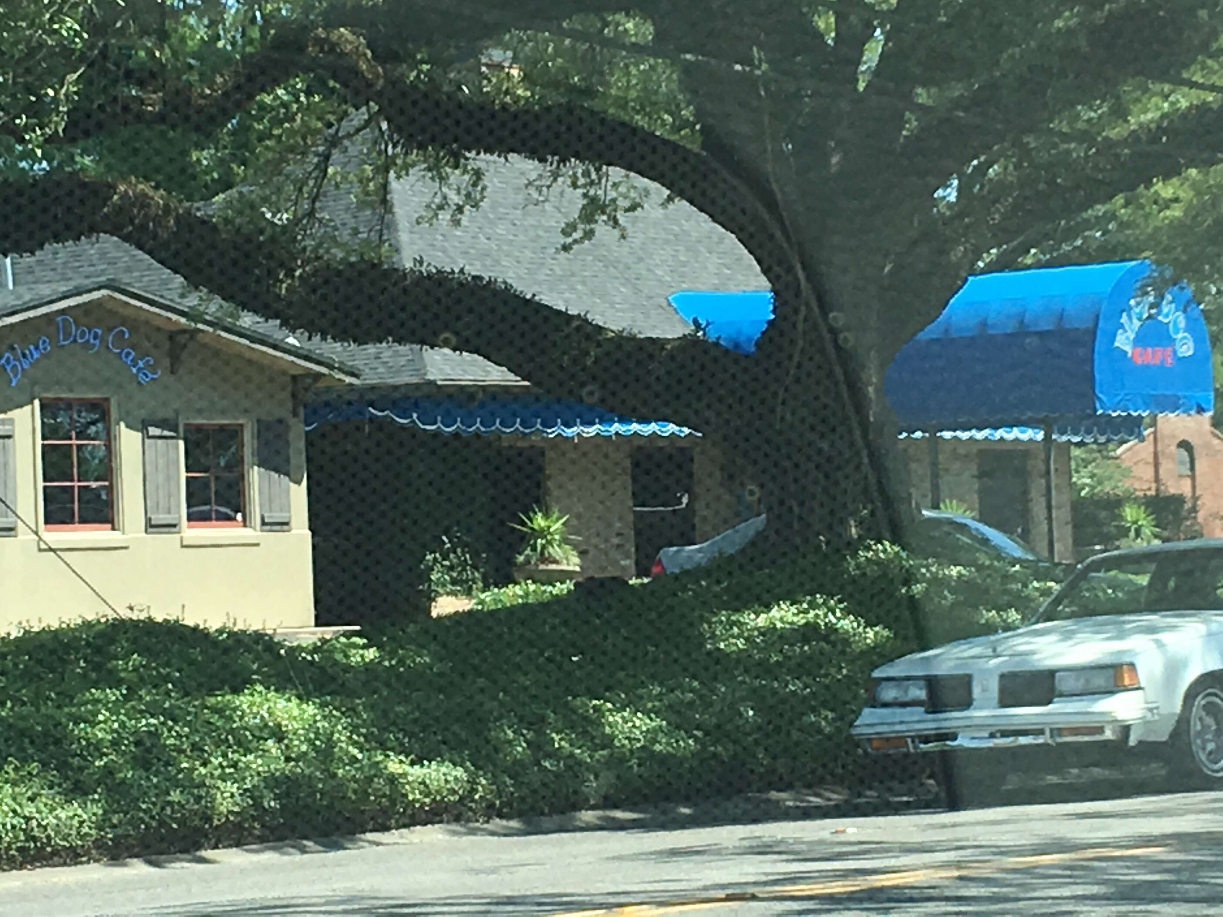 Menu of Blue Dog Cafe, Lafayette, Lafayette