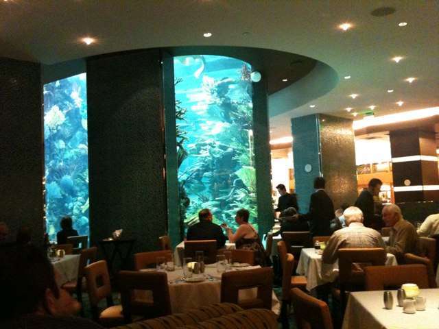 scott zaffram s photo for chart house the chart house golden nugget