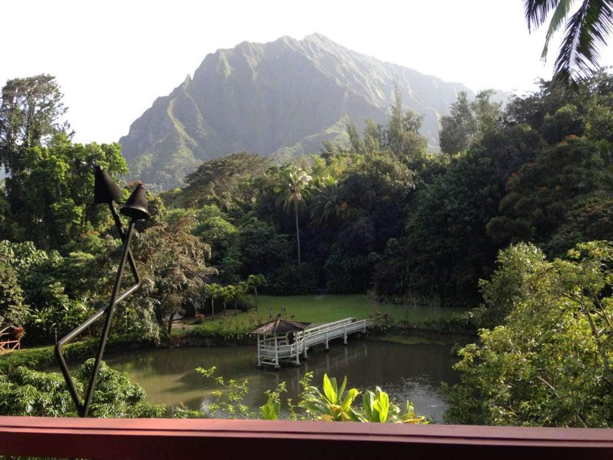Haleiwa Joe's at Haiku Gardens, Kaneohe, Rest of Hawaii | Zomato
