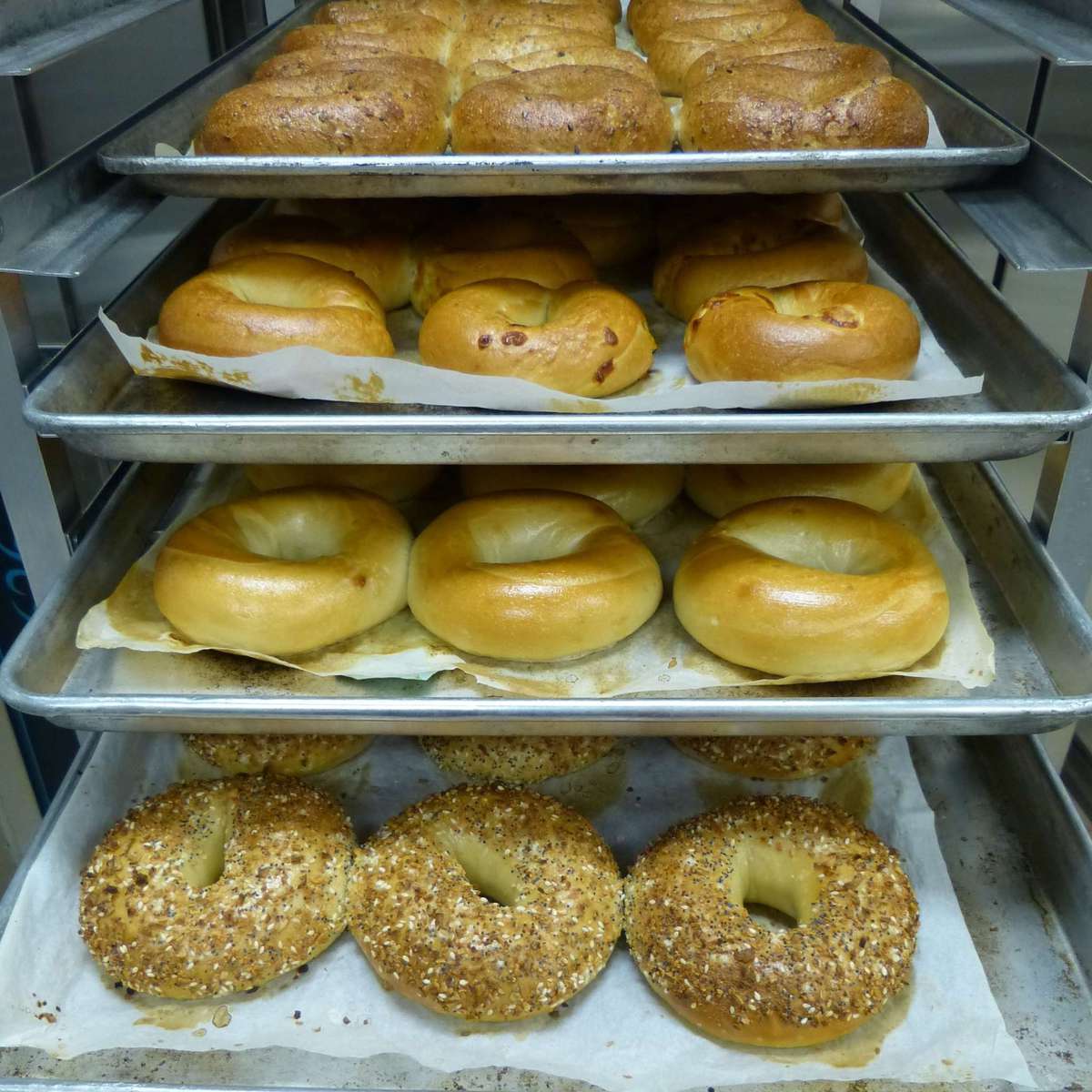 Hendrickson Bagels, Sherwood Park, Edmonton Zomato