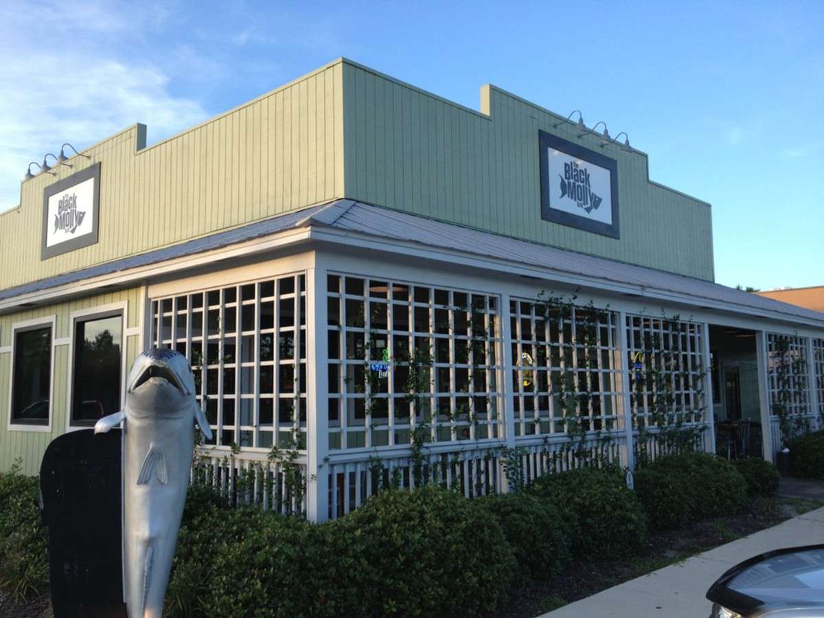 Black Molly Grill, U.S. 1 South, St Augustine Zomato