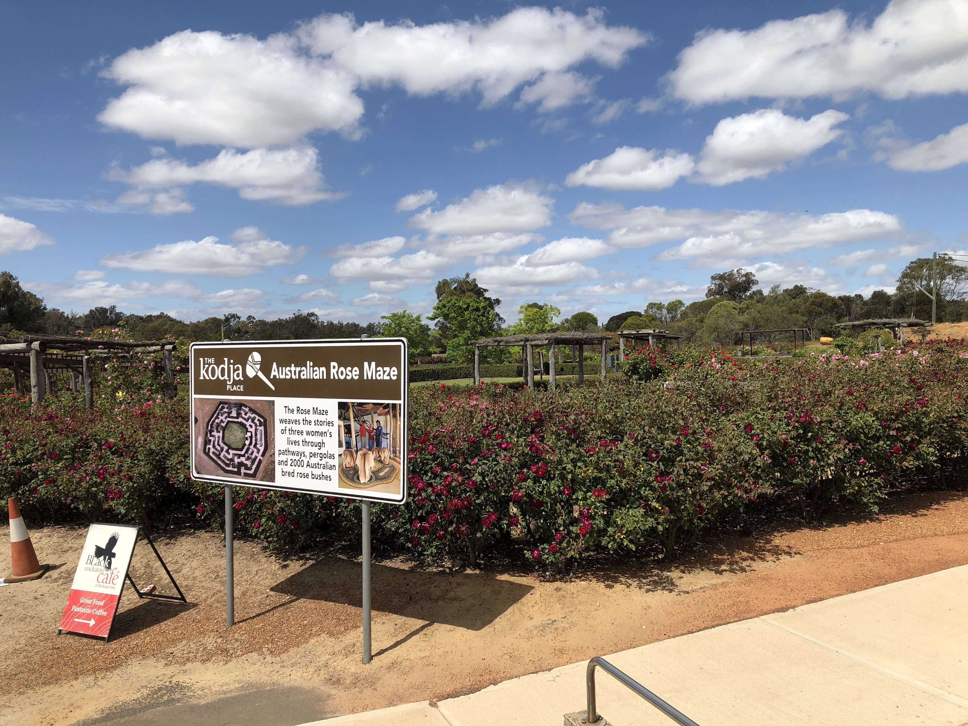 Discover Beyond Black Cockatoo Cafe