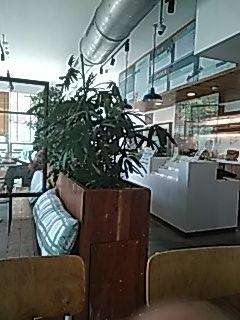 Kitchen Garden By Suzette Bandra Kurla Complex Mumbai