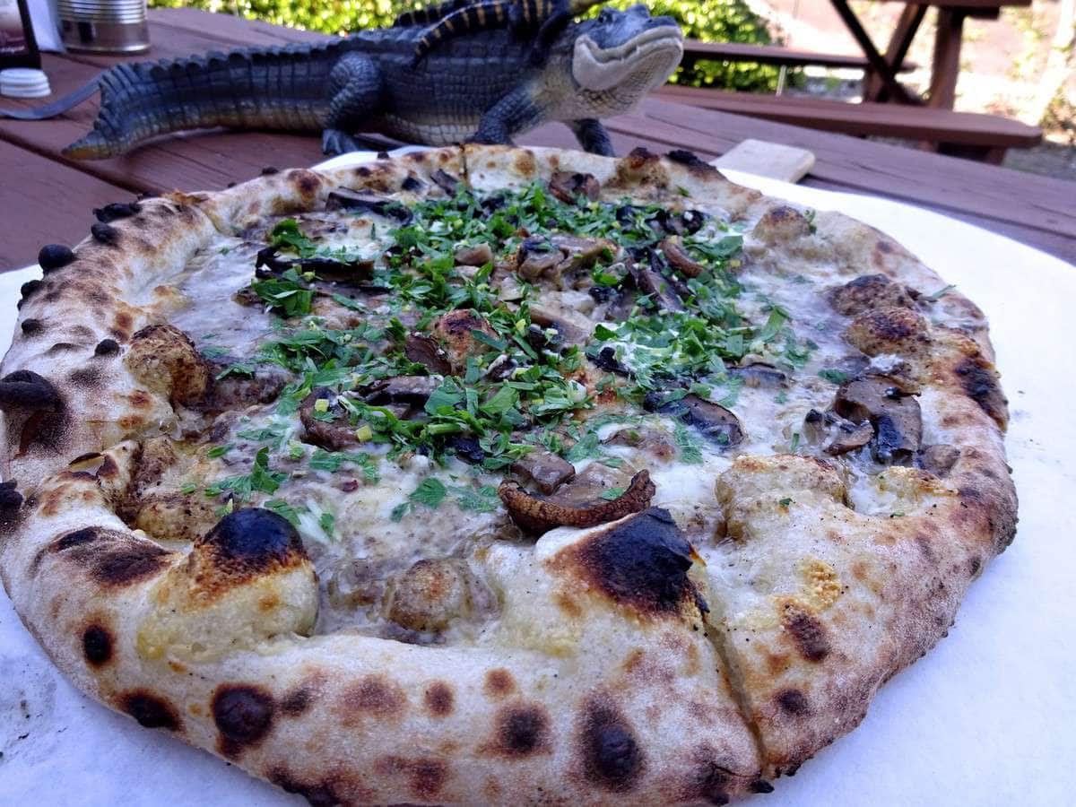 Pizzeria Gregario, Safety Harbor, Tampa Bay Zomato