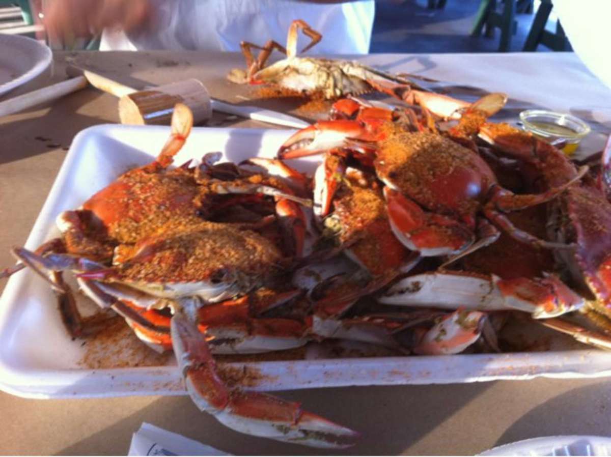 Menu of Lazy Susan's, Lewes, Lewes