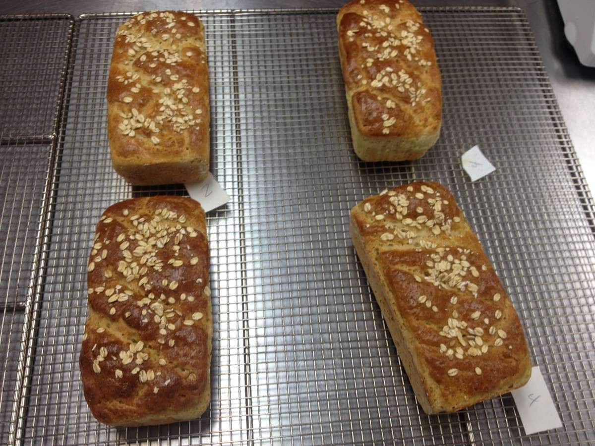 Menu of Donna Marie's Gluten Free Bakery, Maplewood, Rochester