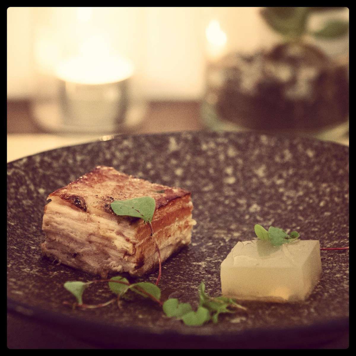 Maple Tree Seafood Restaurant Lorne Lorne