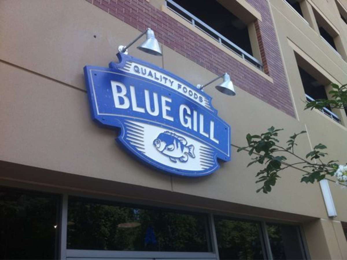Blue Gill Quality Foods Gainesville Gainesville Zomato