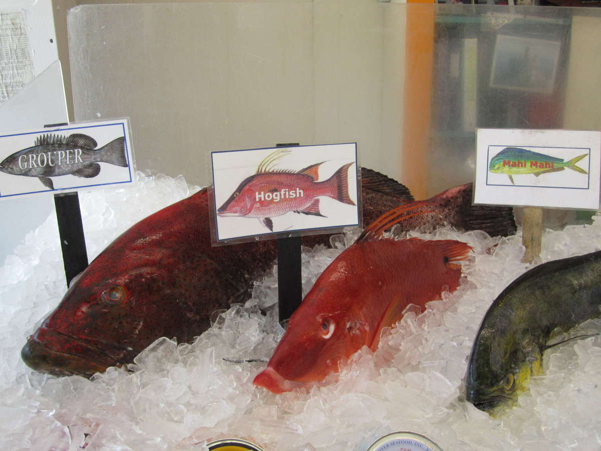 Haag and Sons Seafood, Oak Island, Wilmington