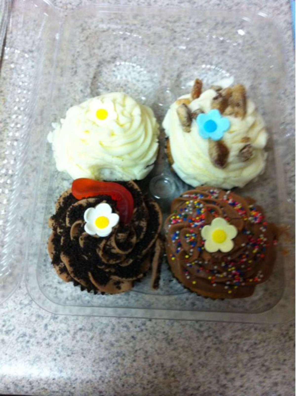 Bee Sweet Cupcakes Uptown New Orleans