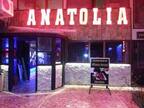 anatolia turku evi pub bostanci istanbul zomato