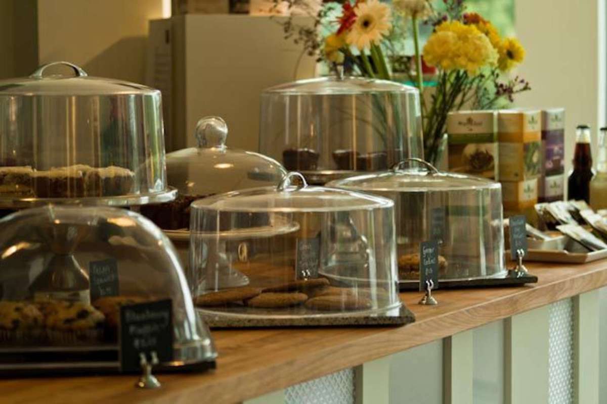 Pavia Gallery Espresso Bar & Café, Halifax, Halifax Zomato