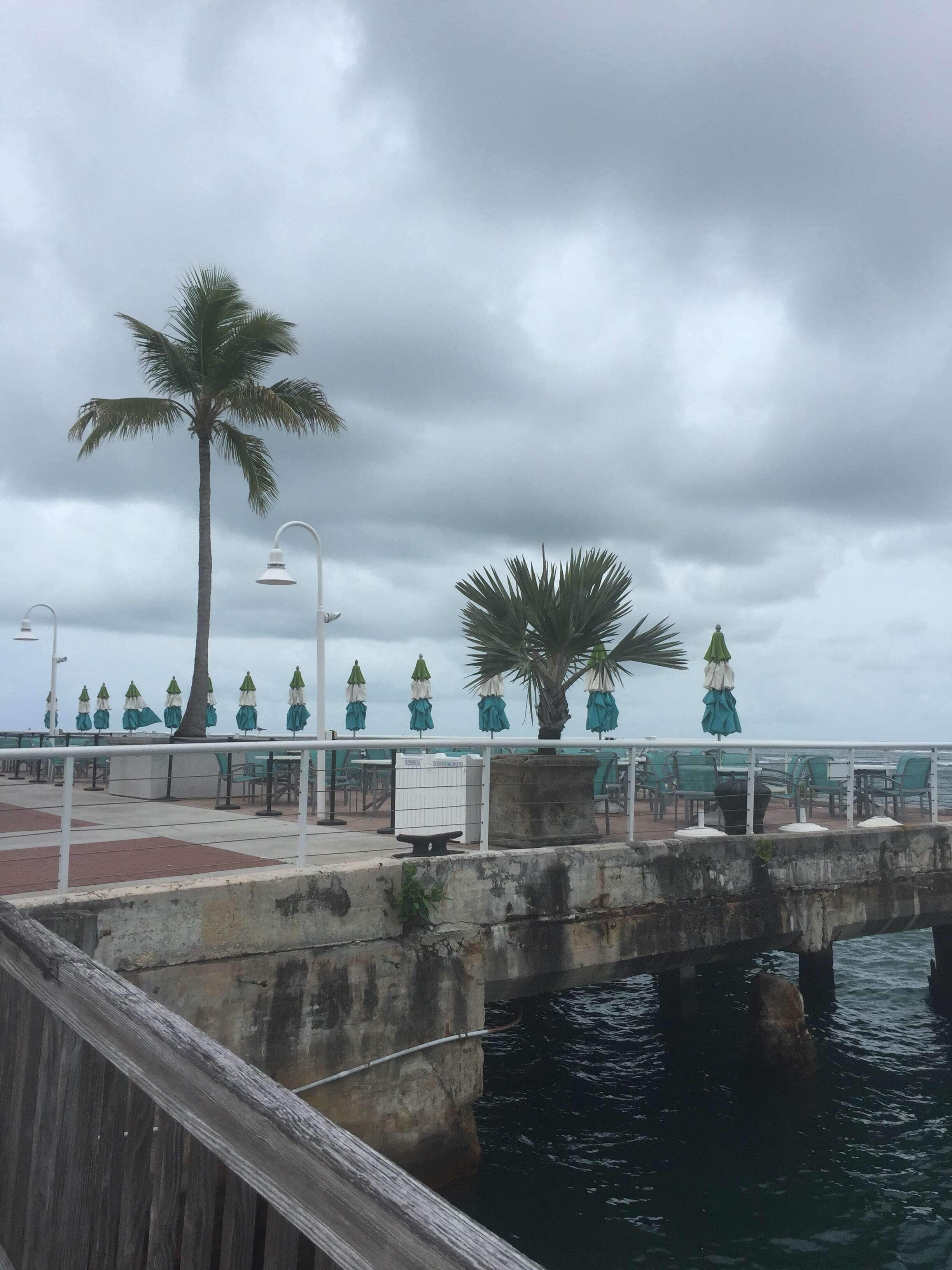 245 Bistro Key West - rur0j5f