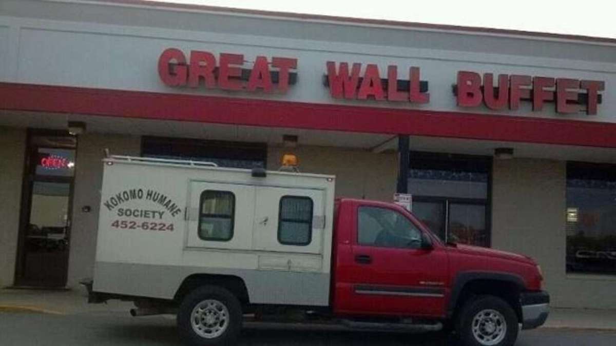 Great Wall, Kokomo, Kokomo Zomato