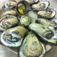 raw oysters near me