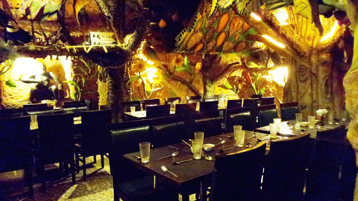 Animal Kingdom Reviews Adyar Chennai Zomato