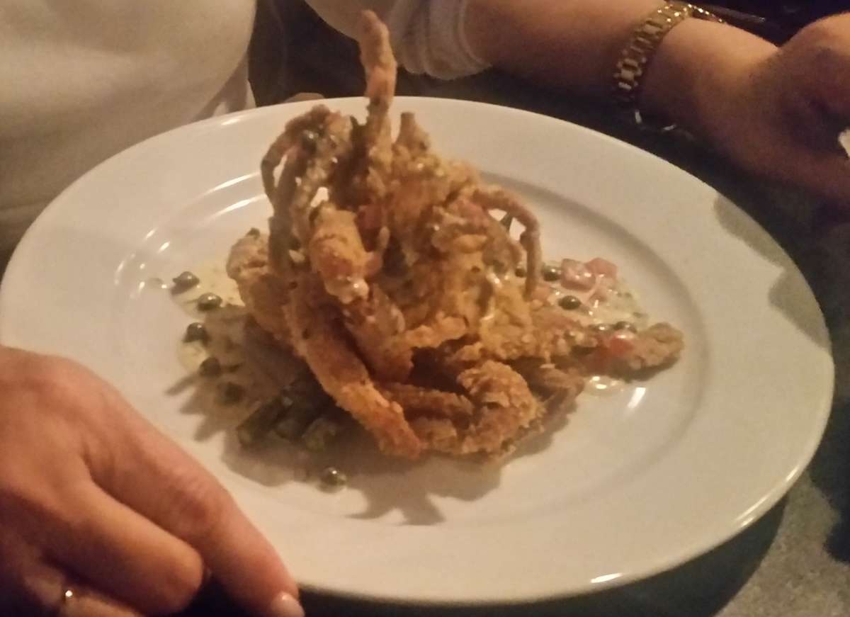 Snaps.wantagh at Harriet Salinas blog