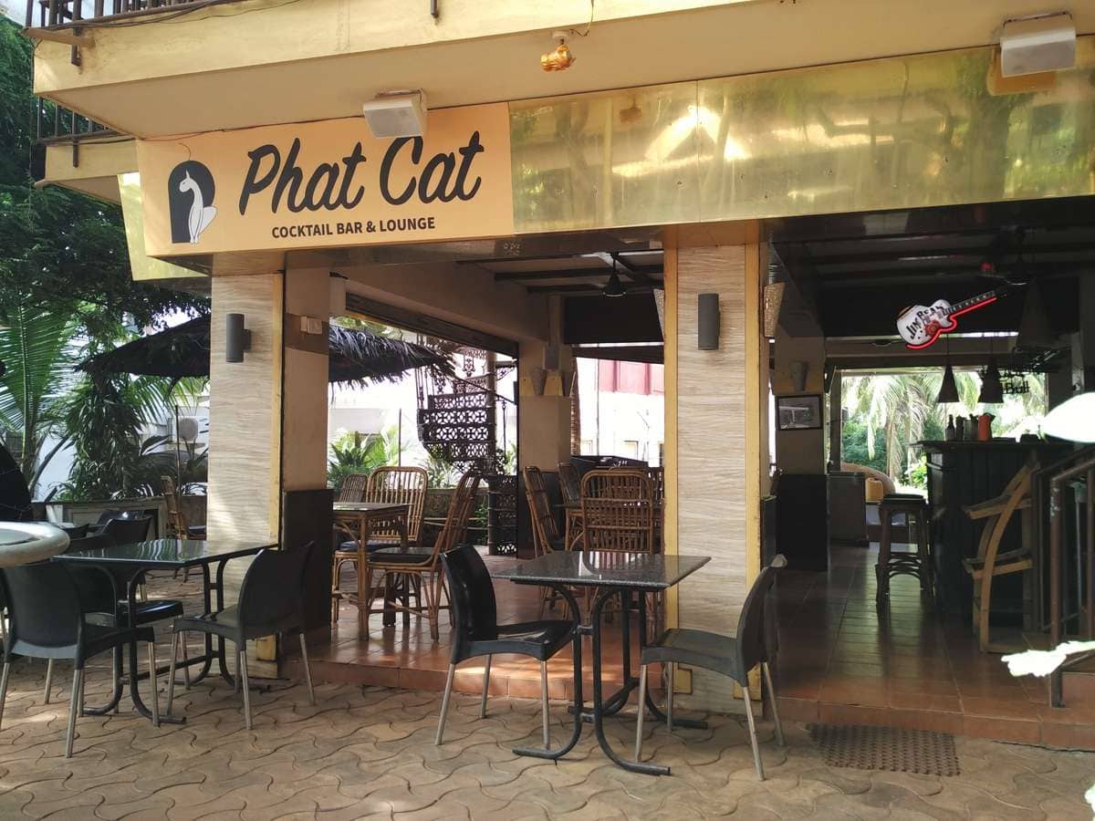 Phat Cat