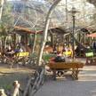 Kavaklipark Reviews Atakoy Istanbul Zomato Kavaklipark Reviews Atakoy Istanbul Zomato