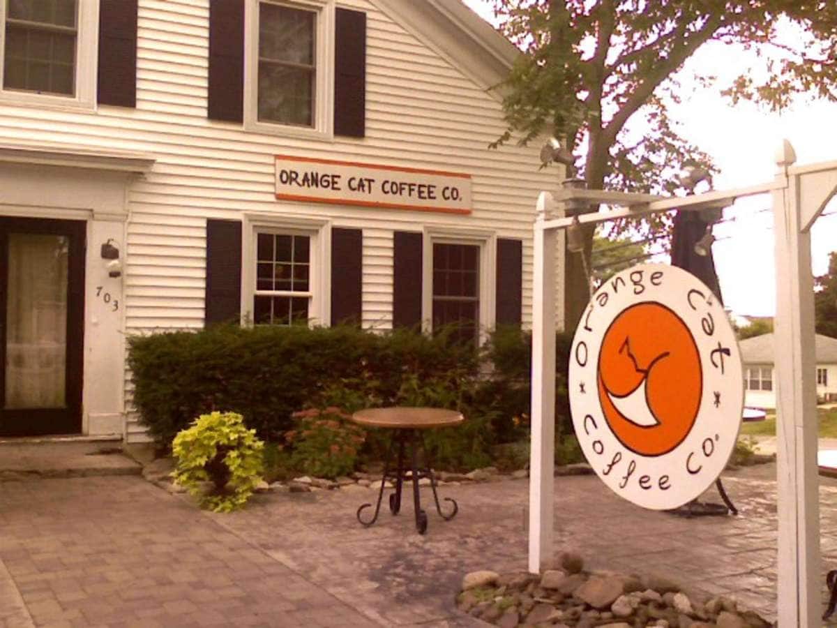 Orange Cat Coffee, Lewiston, Buffalo Zomato