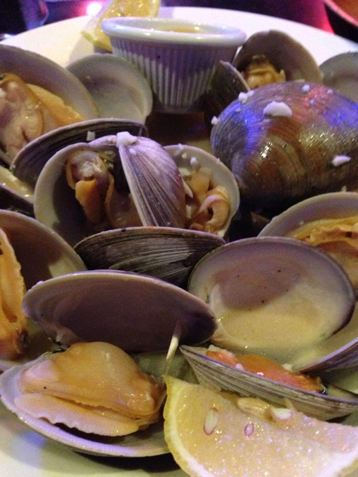 Kennelly's Grille House, Congers, Hudson Valley Zomato