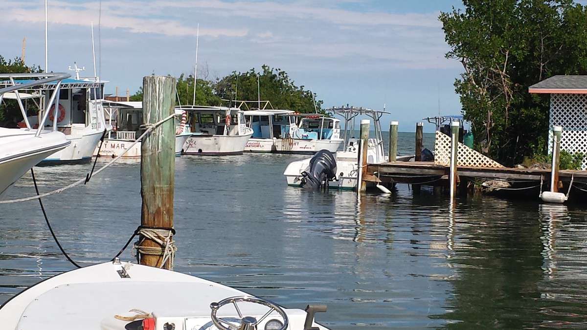 Menu of Porky's Bayside, Marathon, Florida Keys