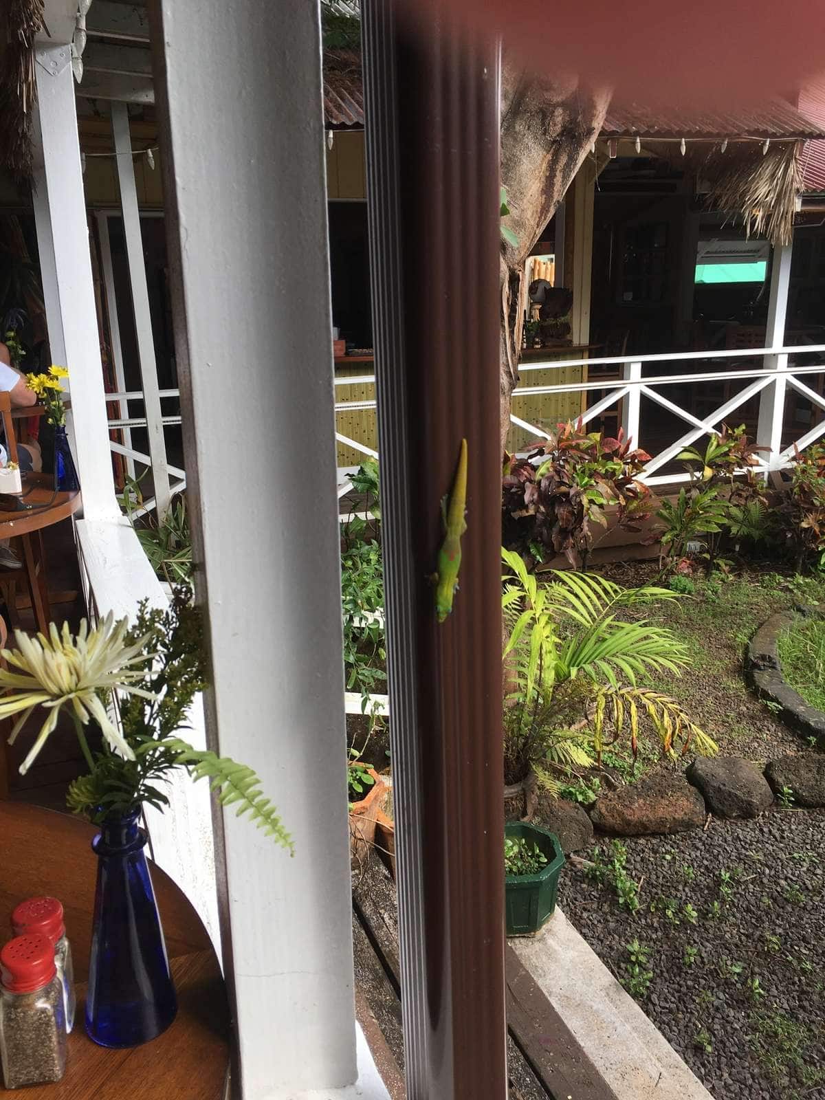 Lemongrass Grill Kauai - 62qwwqd