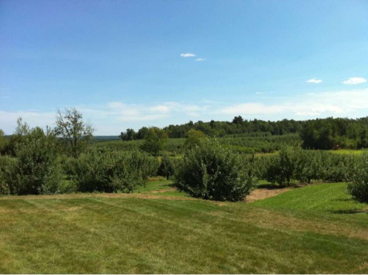 Meadowbrook Orchards, Sterling, Sterling Zomato