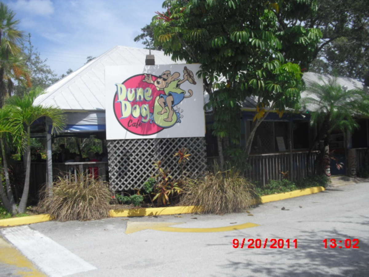 Dune Dog Cafe, Jupiter, Miami Zomato
