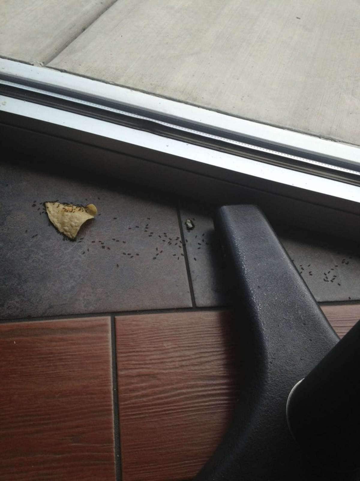 Jimmy John's, Grand Junction, Grand Junction Zomato