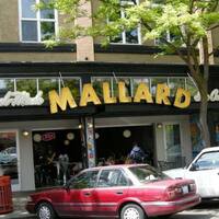 Mallard Ice Cream Photos, Pictures of Mallard Ice Cream ...