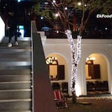 Kerala Cafe, Kalyani Nagar Photos