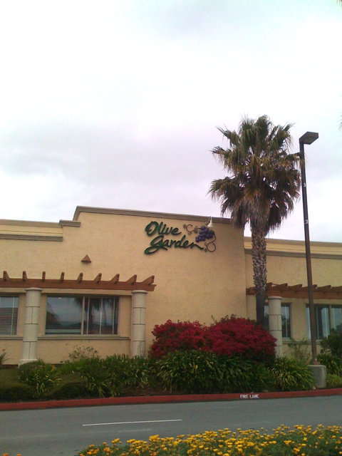 Olive Garden Italian Restaurant क फ ट एव च त र