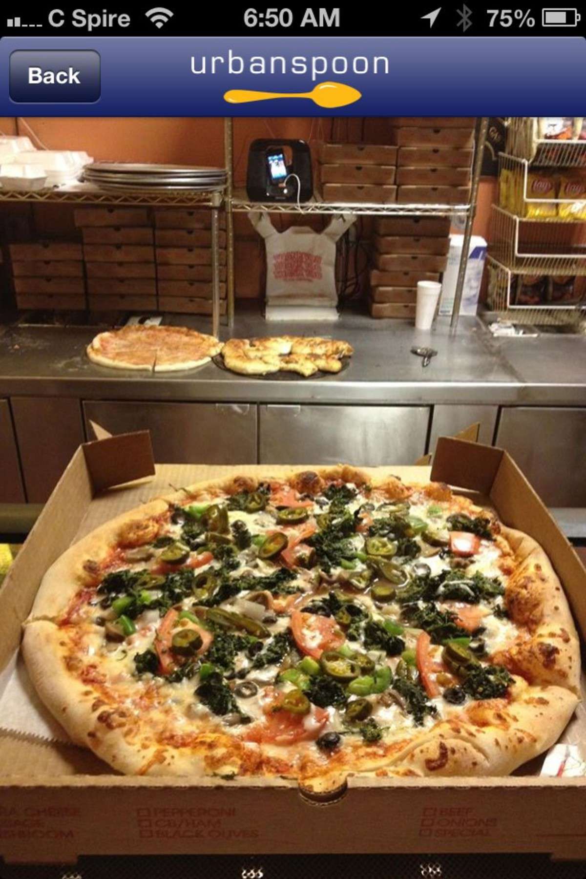 Little Italy Pizza Midtown Memphis Zomato