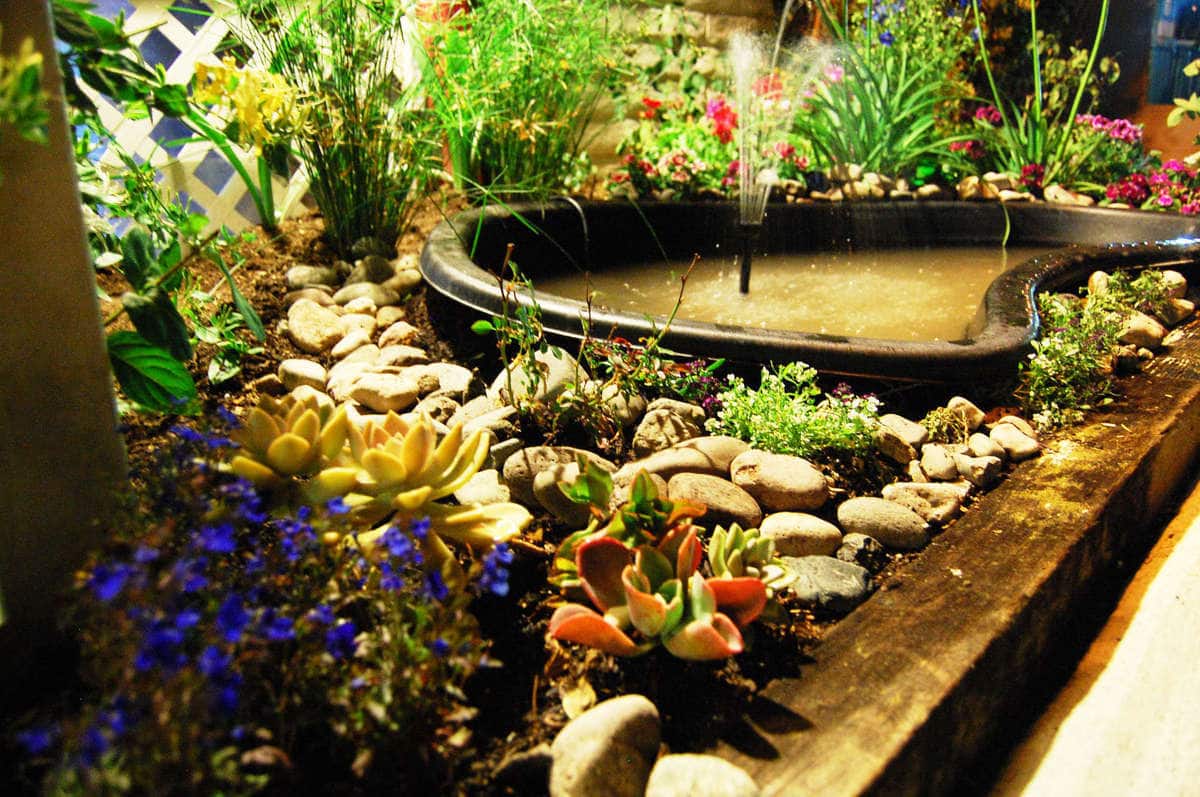 Rice & Spice Thai Cuisine, Moreno Valley, Inland Empire Zomato