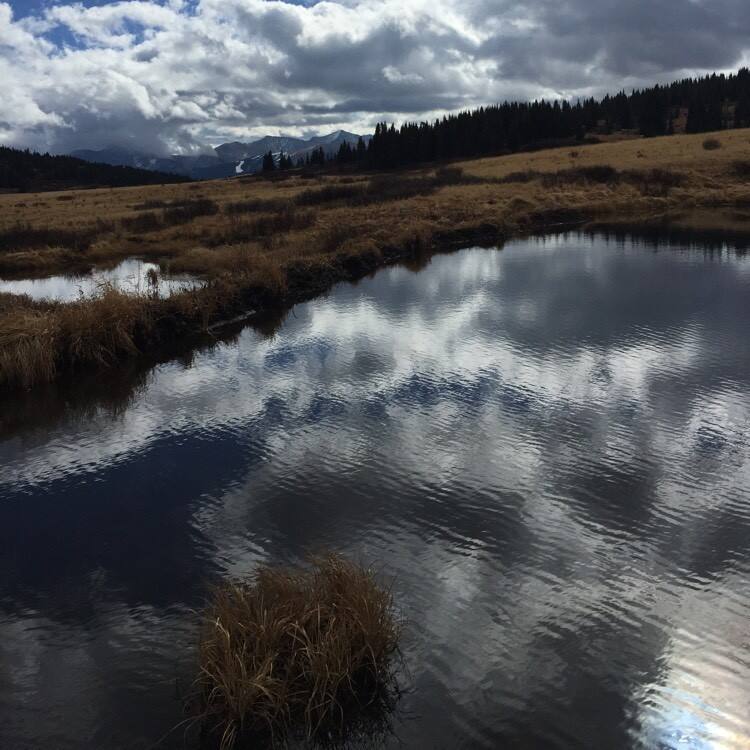 Red Drum Gastropub in Mount Pleasant Restaurant menu and reviews