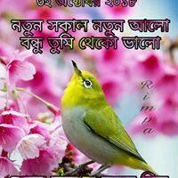 User