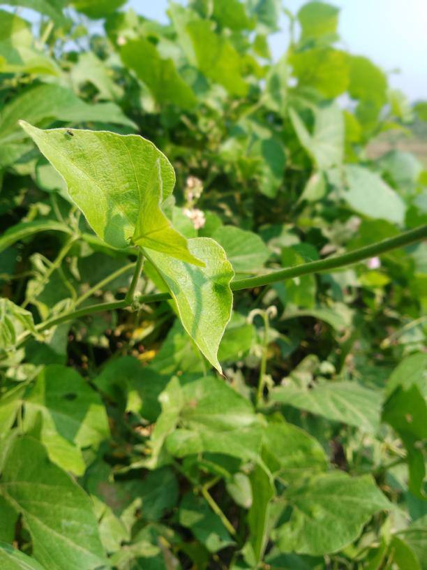 ᴊᴇᴇᴛ_ɢᴀᴍᴇʀTM