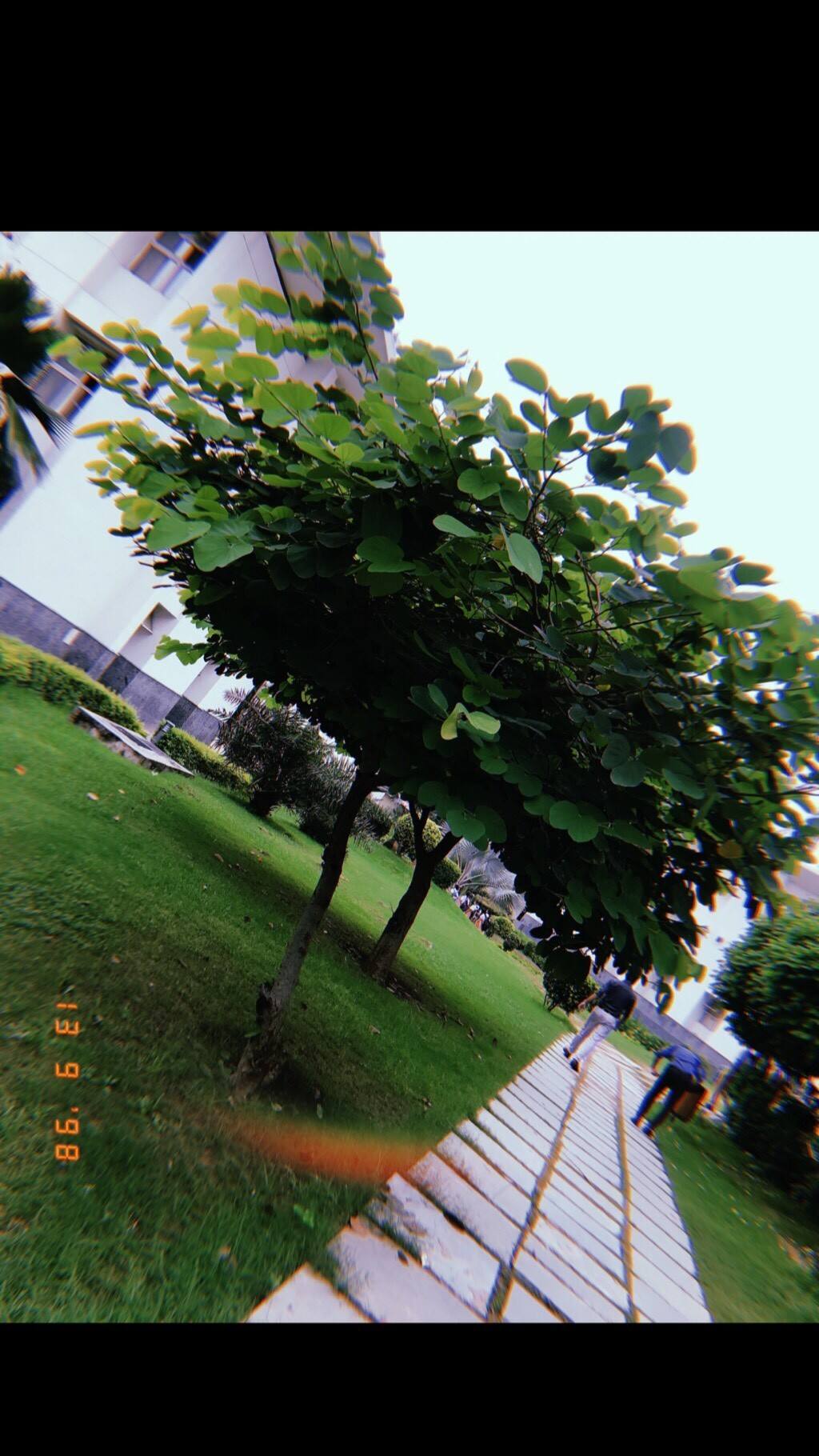 User