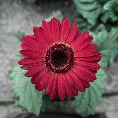 User